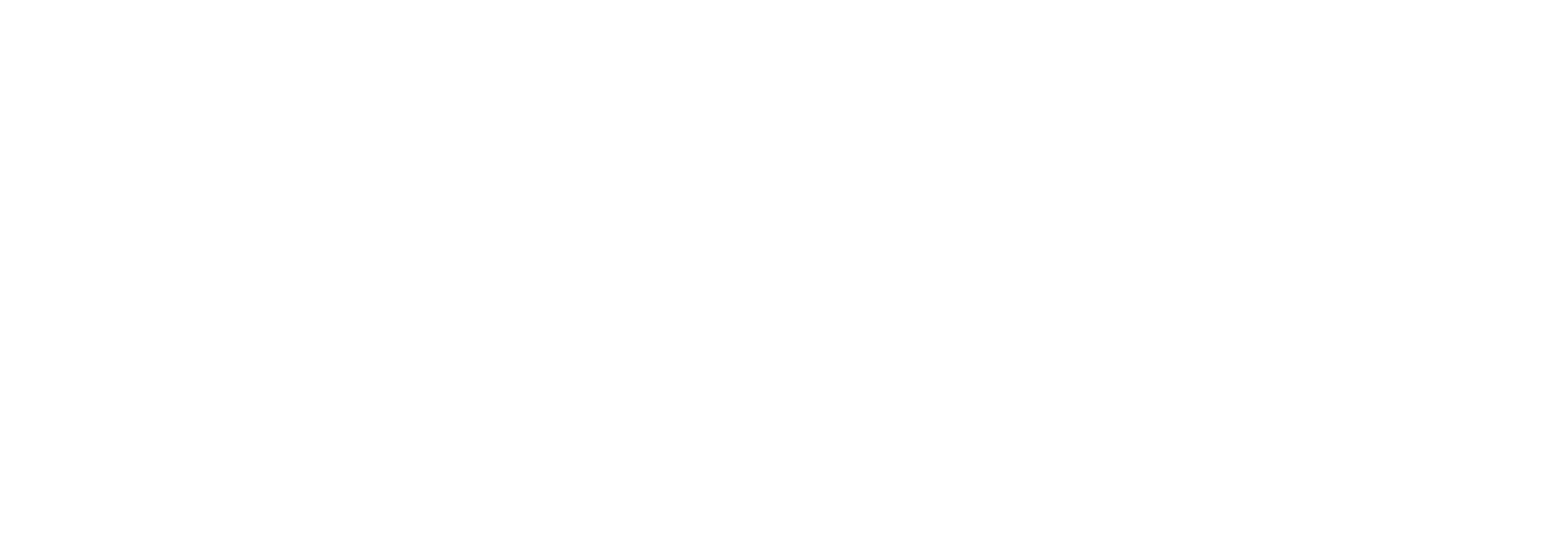 RibaVet