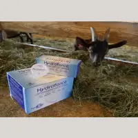 Hydroforce Brausetabletten Einzelpack mit Ziege - auch für Kitze, Lämmer und Ferkel geeignet