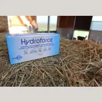 Hydroforce Brausetabletten Mini-Pack (8 St.)