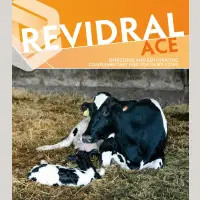 Revidral ACE Abkalbedrink 15kg im Eimer